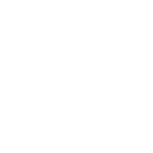 logo delfingen