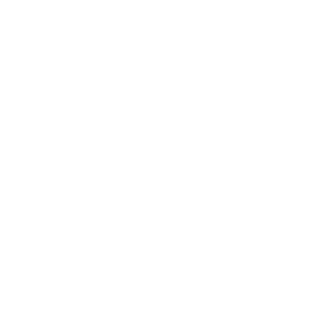 logo lisi
